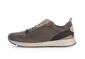 Pius Gabor Sneaker low braun Pius Gabor Sneaker low braun